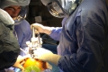 1_Dr-ozgur-cetik-2